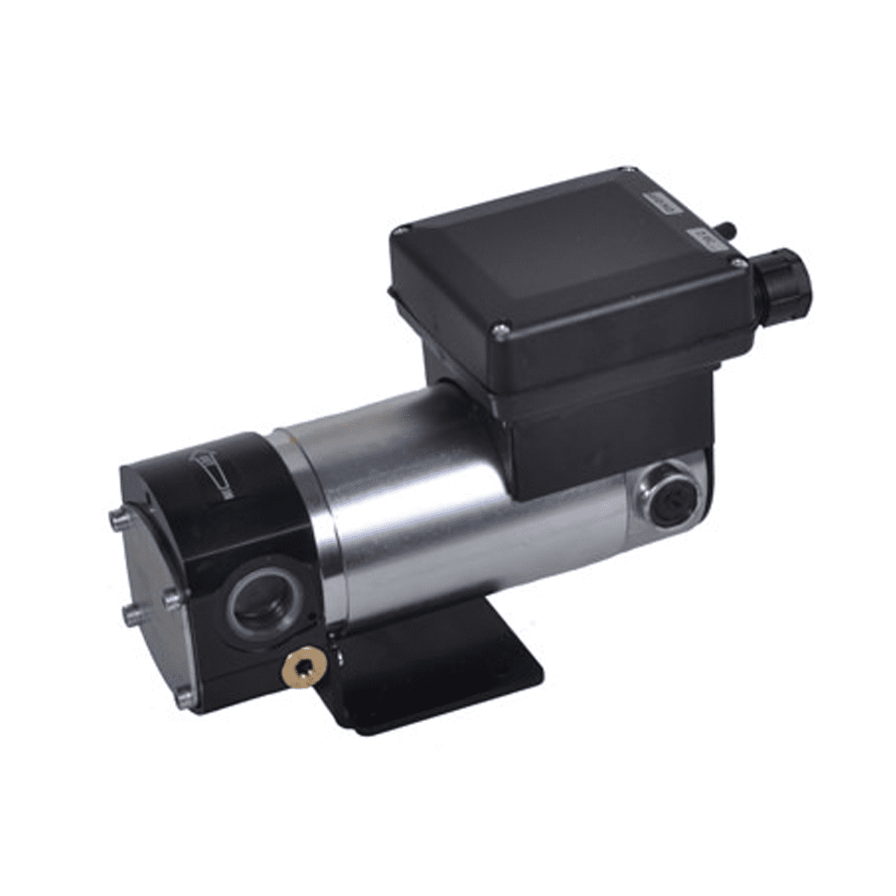 Piusi Gear DC 12V/24v Oil Transfer Pump Fuel Dump