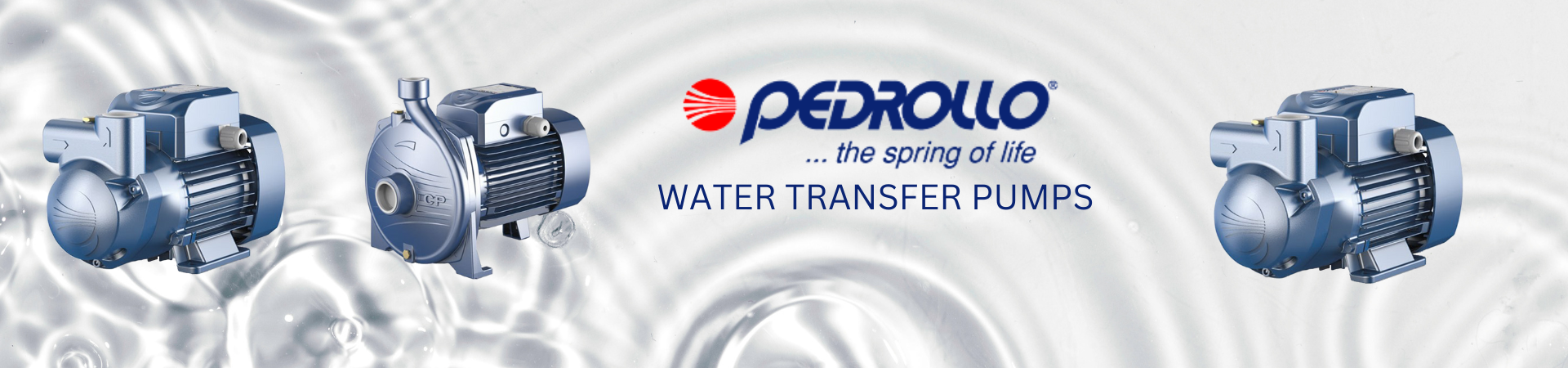 PEDROLLO Water Transfer Pumps